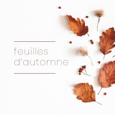 Les feuilles sont tombées white modern-simple