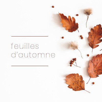 Les feuilles sont tombées white modern-simple