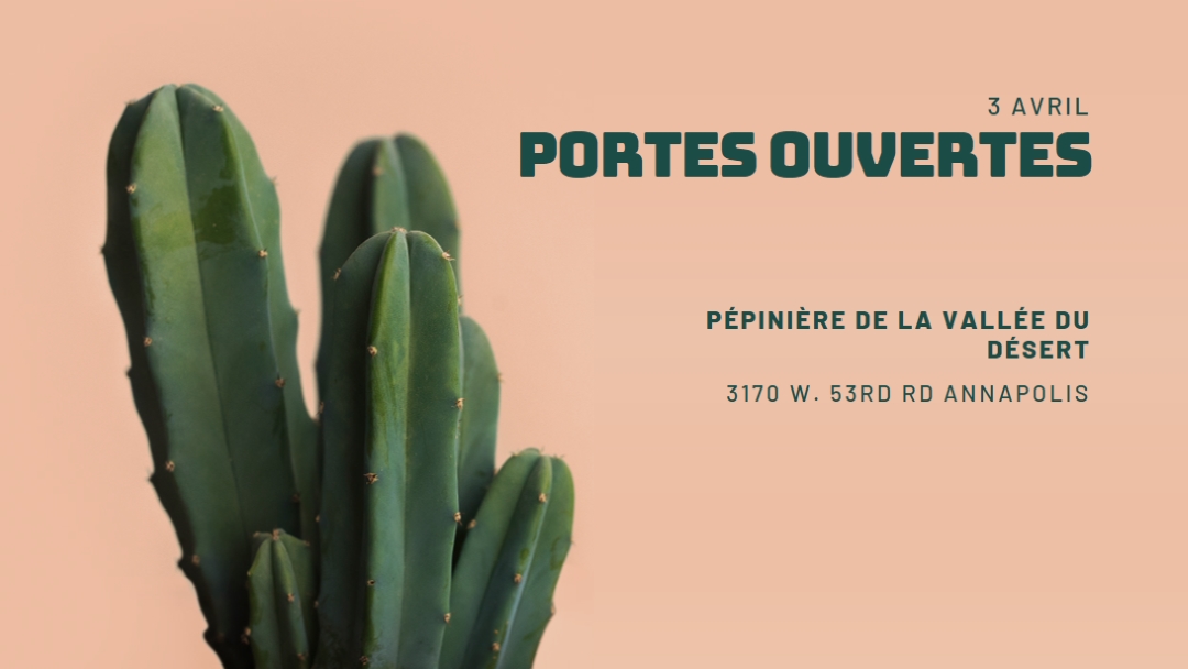 Portes ouvertes du 3 avril pink modern-simple