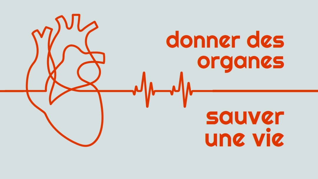Devenir donneur d’organes blue whimsical-line