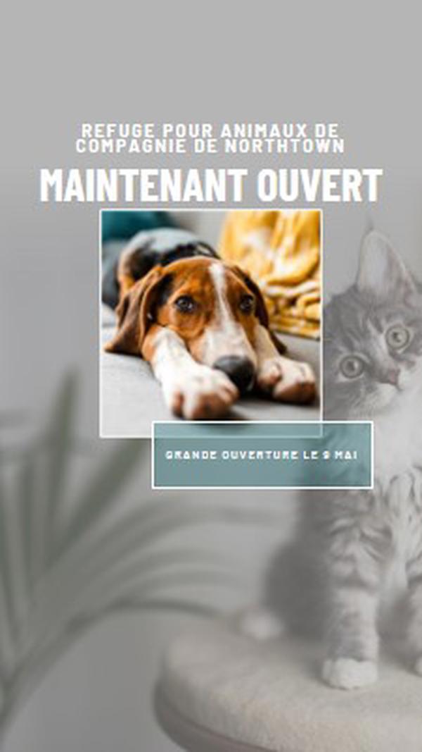 Chats et chiens gray modern-simple