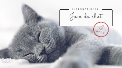 Sieste de chat gray modern-simple