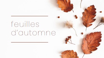 Les feuilles sont tombées white modern-simple