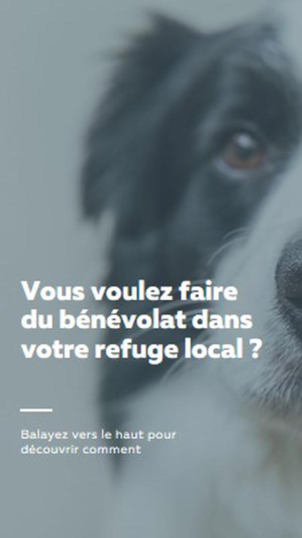 Faites du bénévolat et apportez des encouragements blue modern-simple