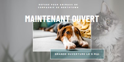 Chats et chiens gray modern-simple