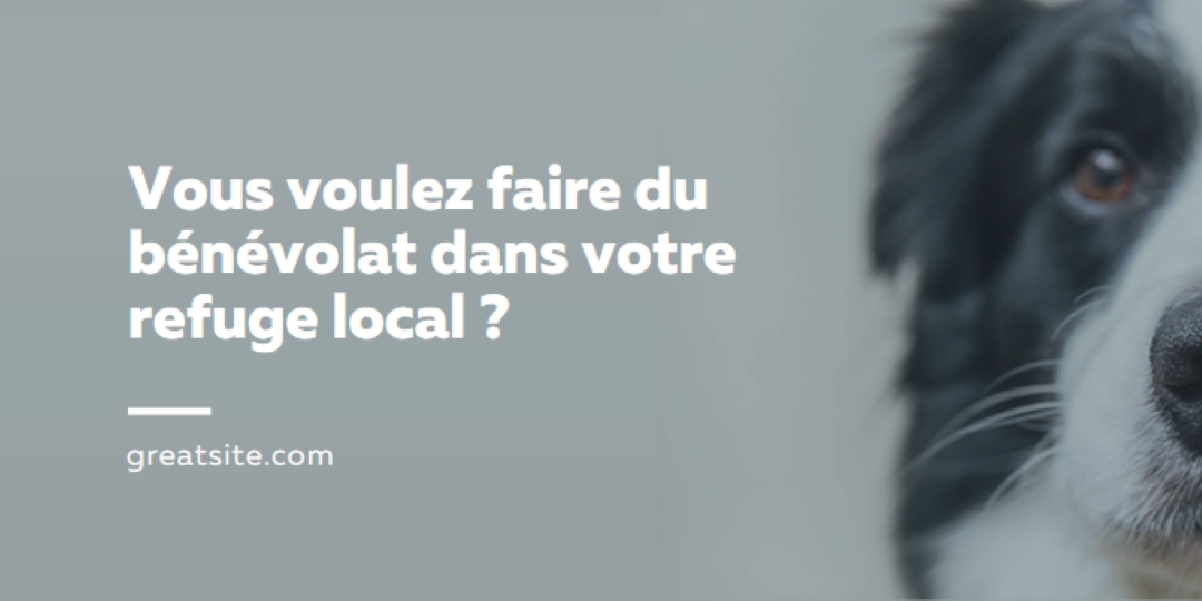 Faites du bénévolat et apportez des encouragements blue modern-simple