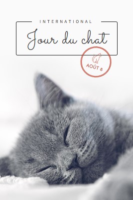 Sieste de chat gray modern-simple