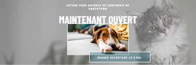 Chats et chiens gray modern-simple