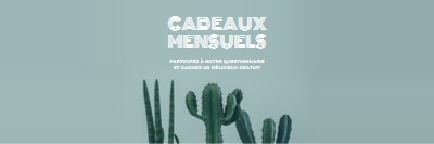 Questionnaire sur les cadeaux mensuels green modern-simple