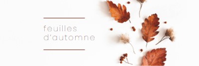 Les feuilles sont tombées white modern-simple