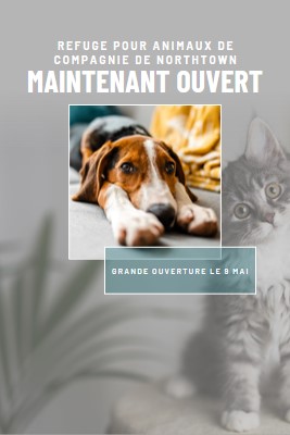 Chats et chiens gray modern-simple