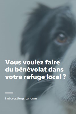 Faites du bénévolat et apportez des encouragements blue modern-simple