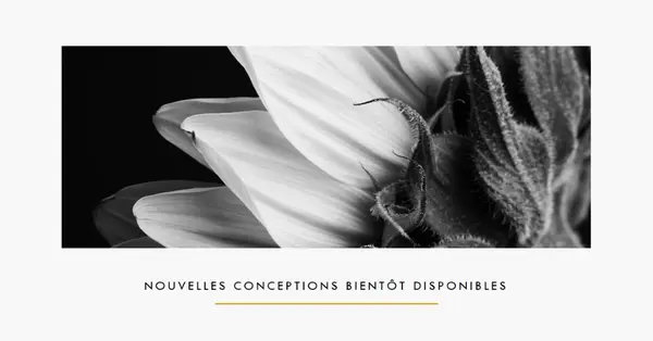 Pétales croquants white modern-simple