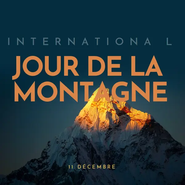 Bonne journée internationale de la montagne blue modern-bold