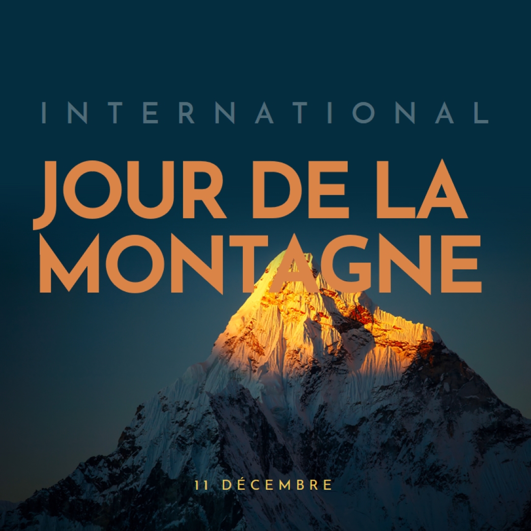 Bonne journée internationale de la montagne blue modern-bold