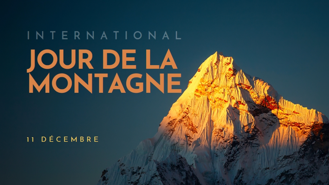 Bonne journée internationale de la montagne blue modern-bold