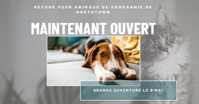 Chats et chiens gray modern-simple