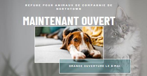 Chats et chiens gray modern-simple