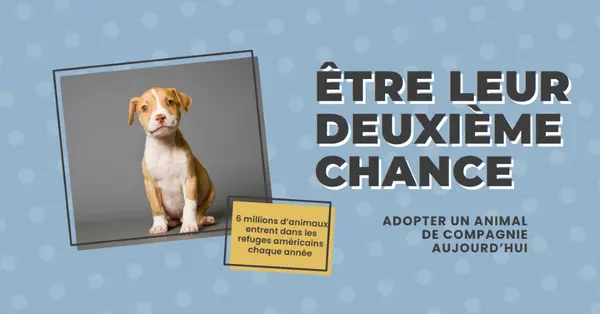 Chiot de la deuxième chance blue modern-bold