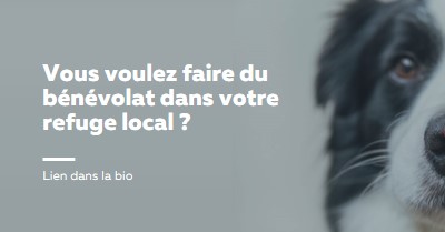 Faites du bénévolat et apportez des encouragements blue modern-simple