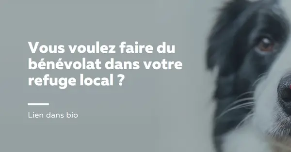 Faites du bénévolat et apportez des encouragements blue modern-simple