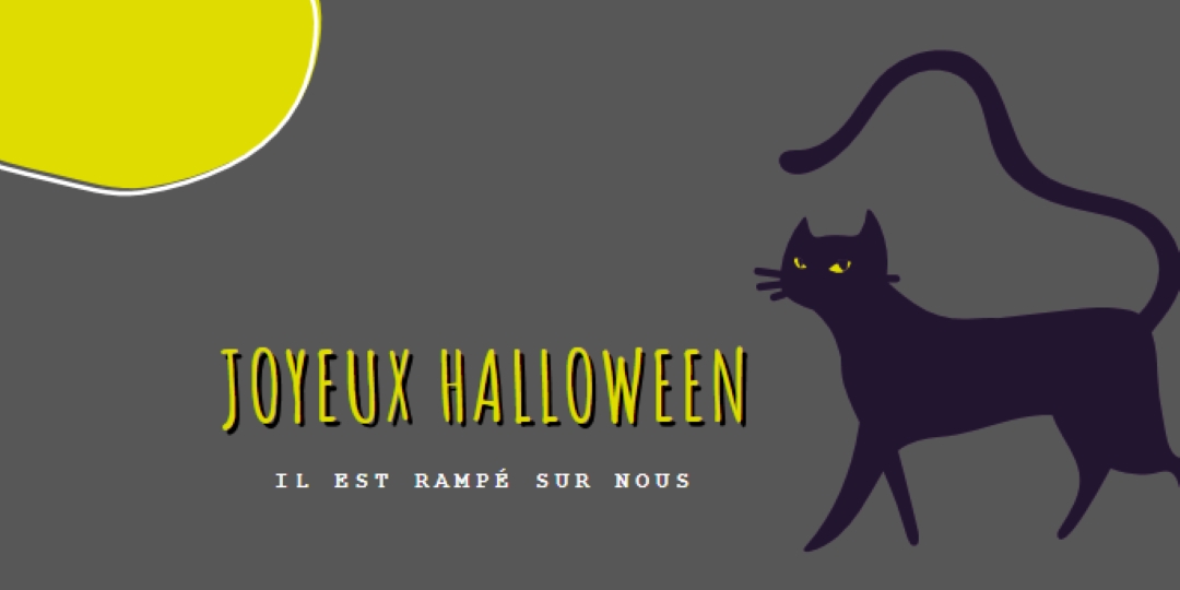 Chat rampant black whimsical-color-block