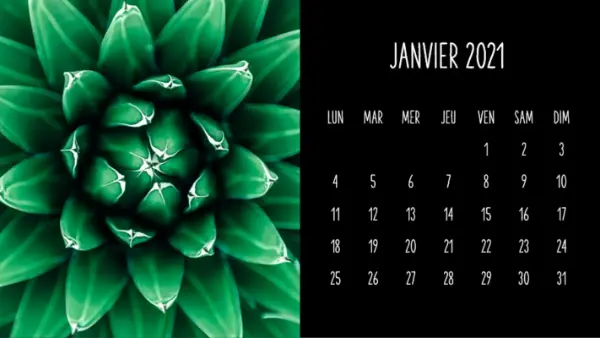 Calendrier mensuel de succulentes modern-simple