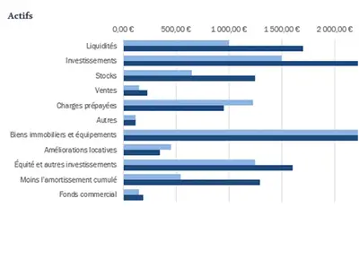 Feuille de bilan comptable bleue