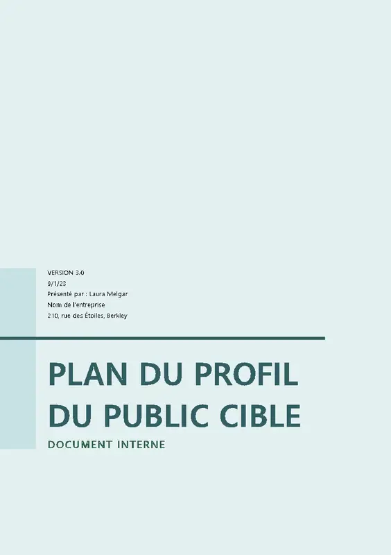 Plan de profilage du public cible modern simple