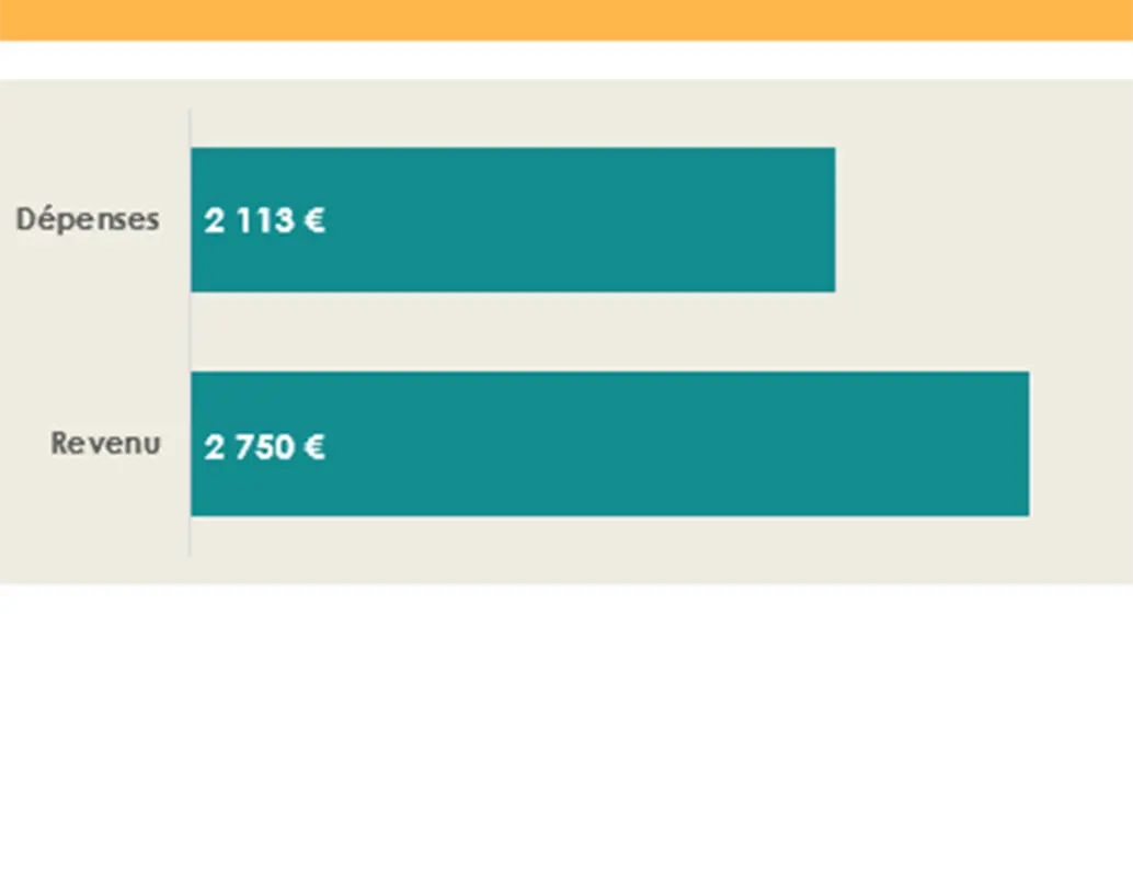 Budget revenus et dépenses de l’Université blue modern simple