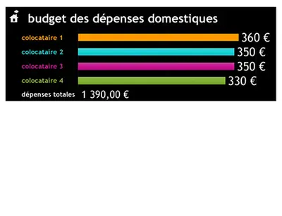 Budget des dépenses domestiques modern simple