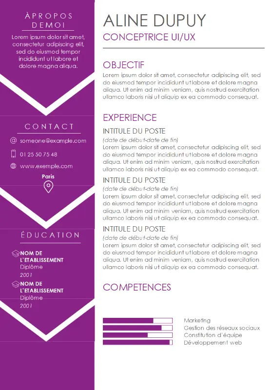 CV contemporain purple modern bold