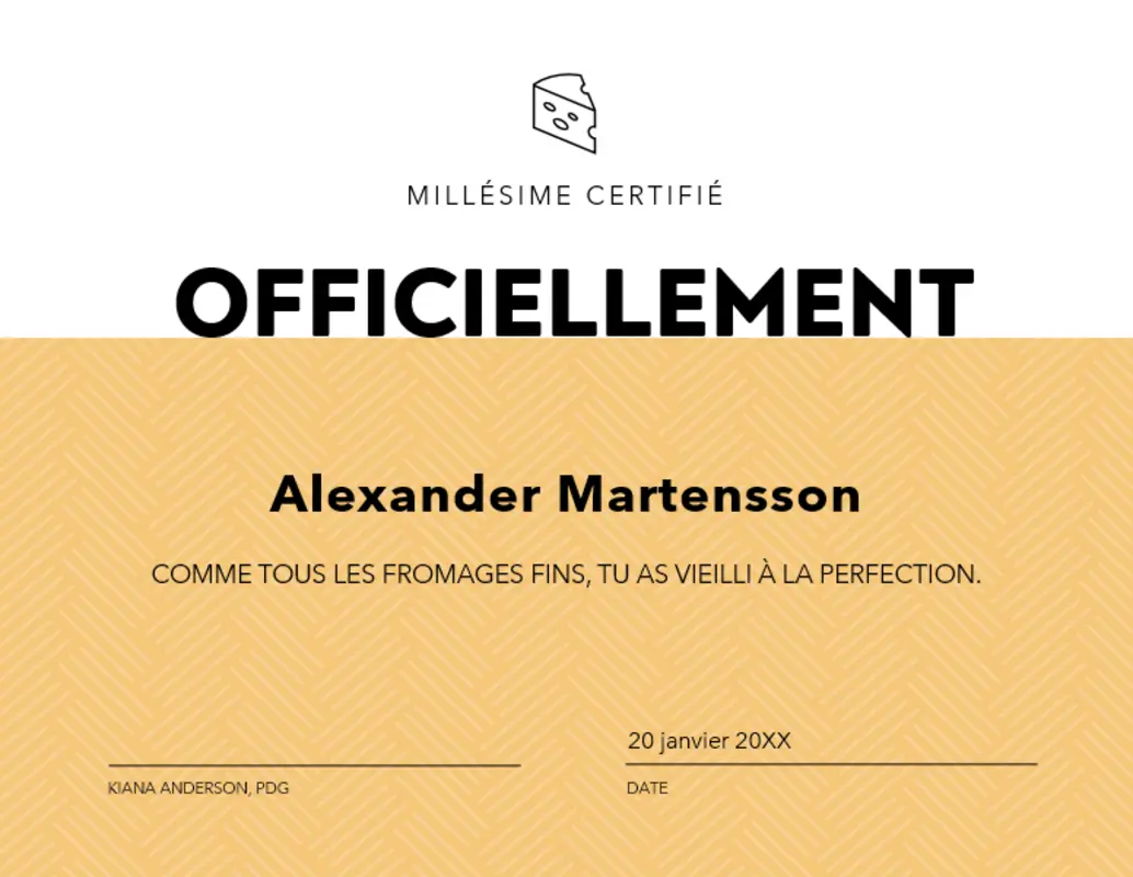 Certificats amusants modern-geometric