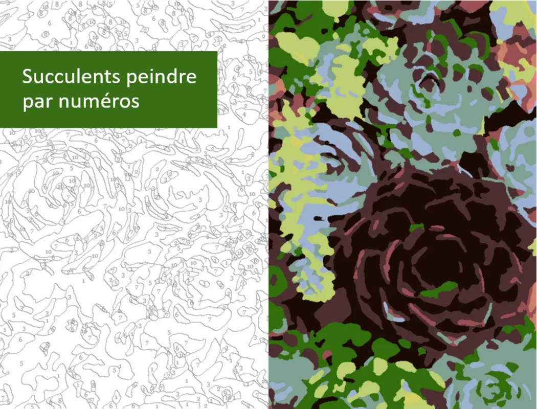 Les succulents peints par numéro organic simple