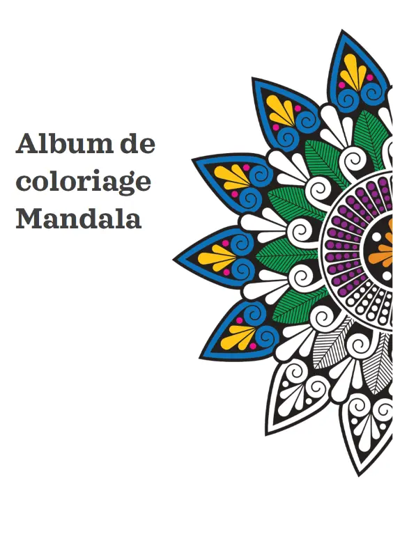Album de coloriage Mandala organic boho