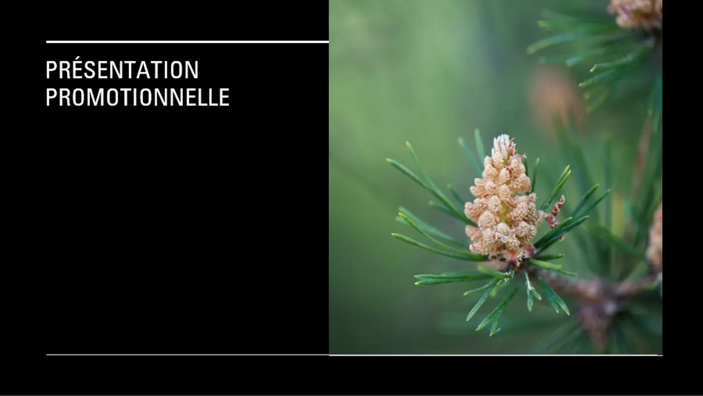 Conception Chronique modern-simple