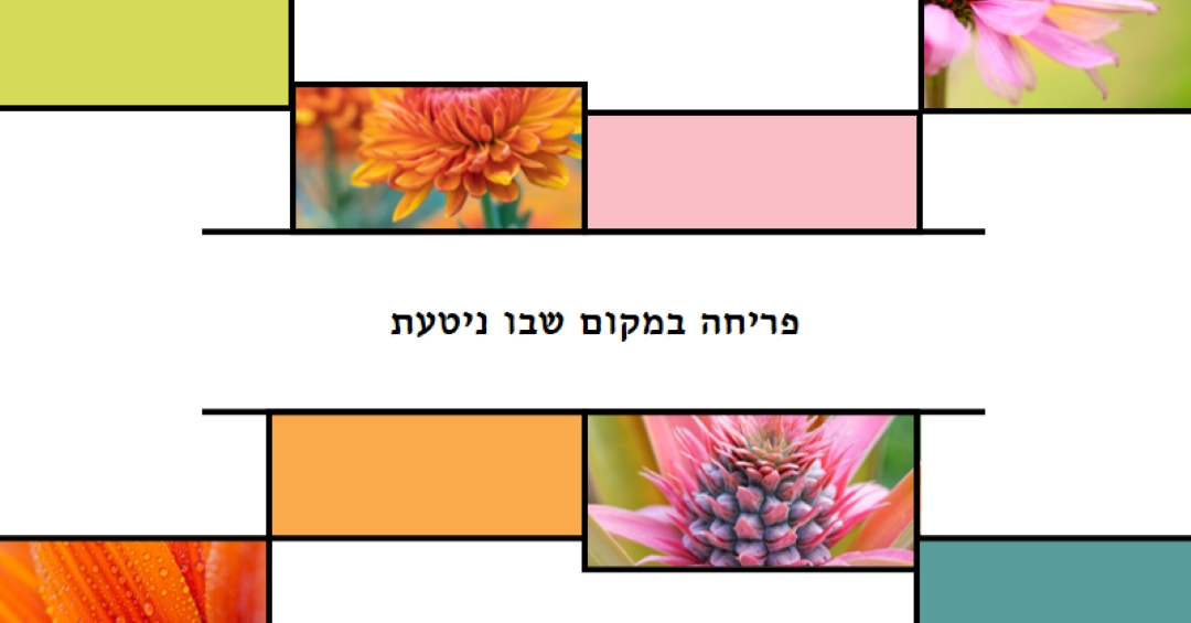 פריחה במקום שבו ניטעת white modern-geo-&-linear