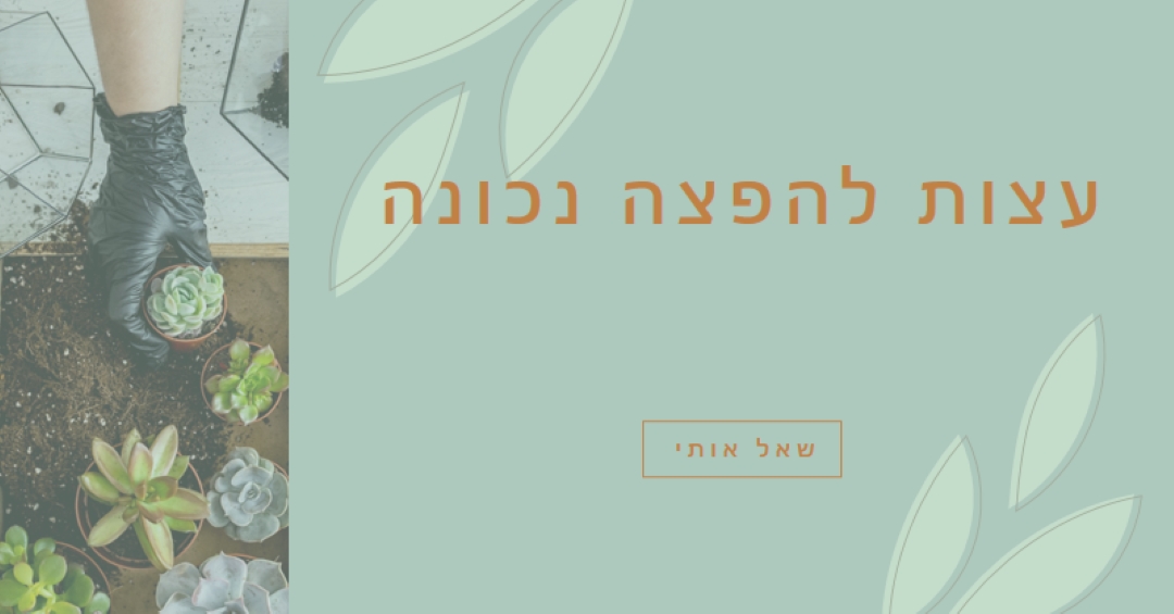 בשרן פשוט green organic-simple