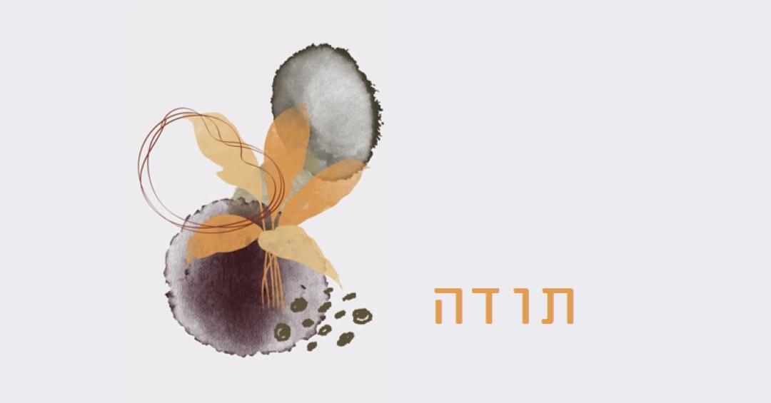 בהכרת תודה gray organic-simple