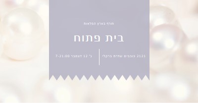 בית פתוח אלגנטי white modern-simple