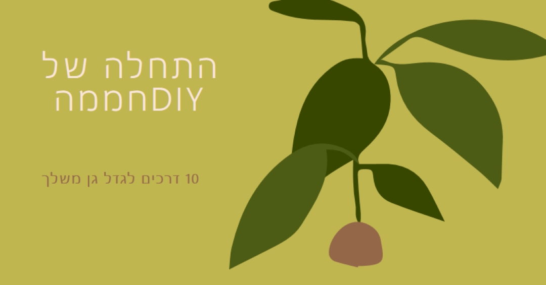 תגדל גן משלך green modern-color-block