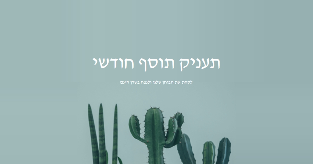 בוחן הענקת תוסף חודשי green modern-simple