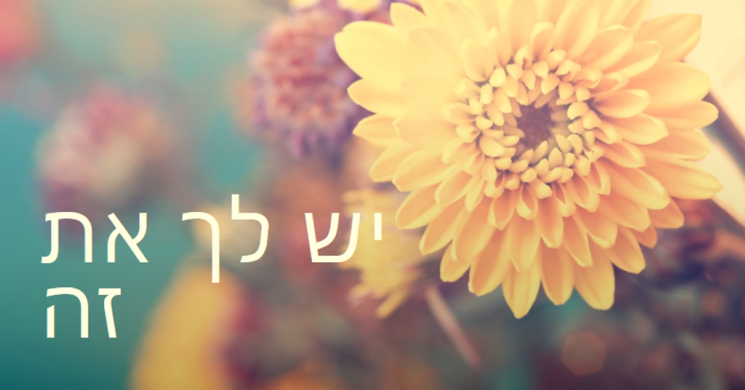 עלי כותרת משגשגים yellow modern-simple