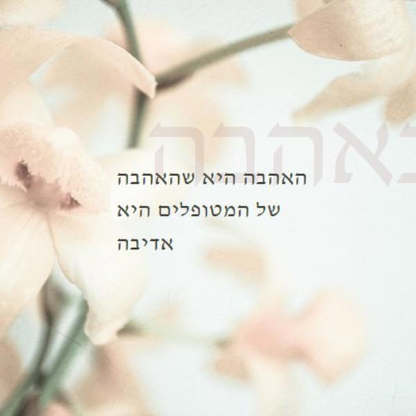 הערת אהבה white modern-simple