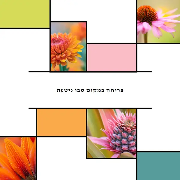 פריחה במקום שבו ניטעת white modern-geo-&-linear