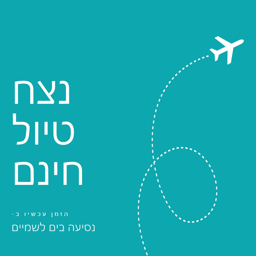 נתיב טיסה blue modern-simple