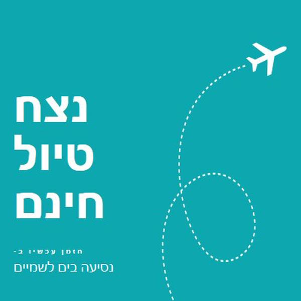 נתיב טיסה blue modern-simple