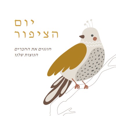 סקיי היא הגבול white whimsical-line