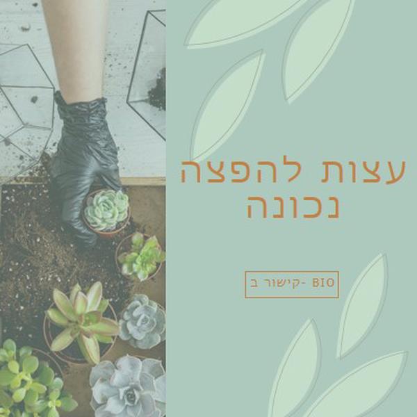 בשרן פשוט green organic-simple