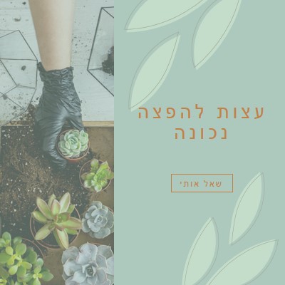 בשרן פשוט green organic-simple